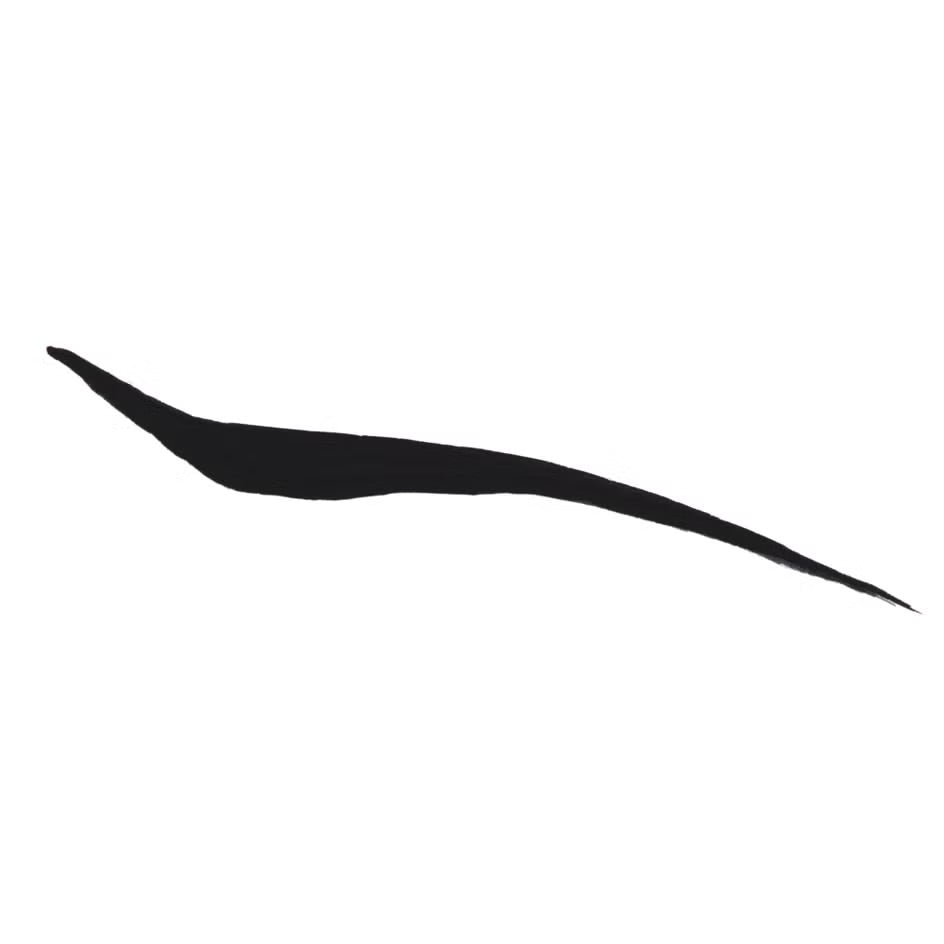 Anastasia Beverly Hills Liquid Eyeliner