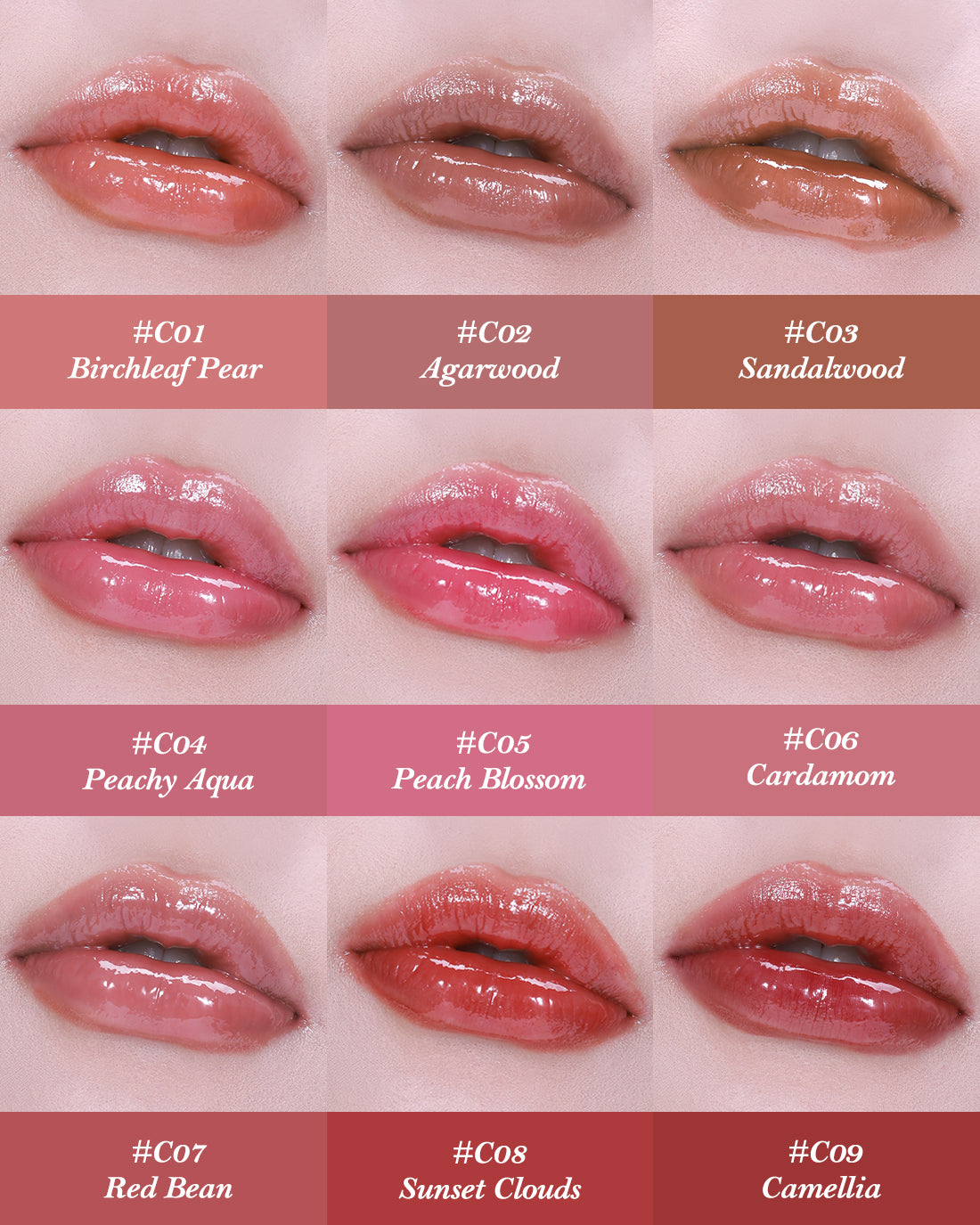 Butterfly Cloud Collar Collection Glossy Lipstick