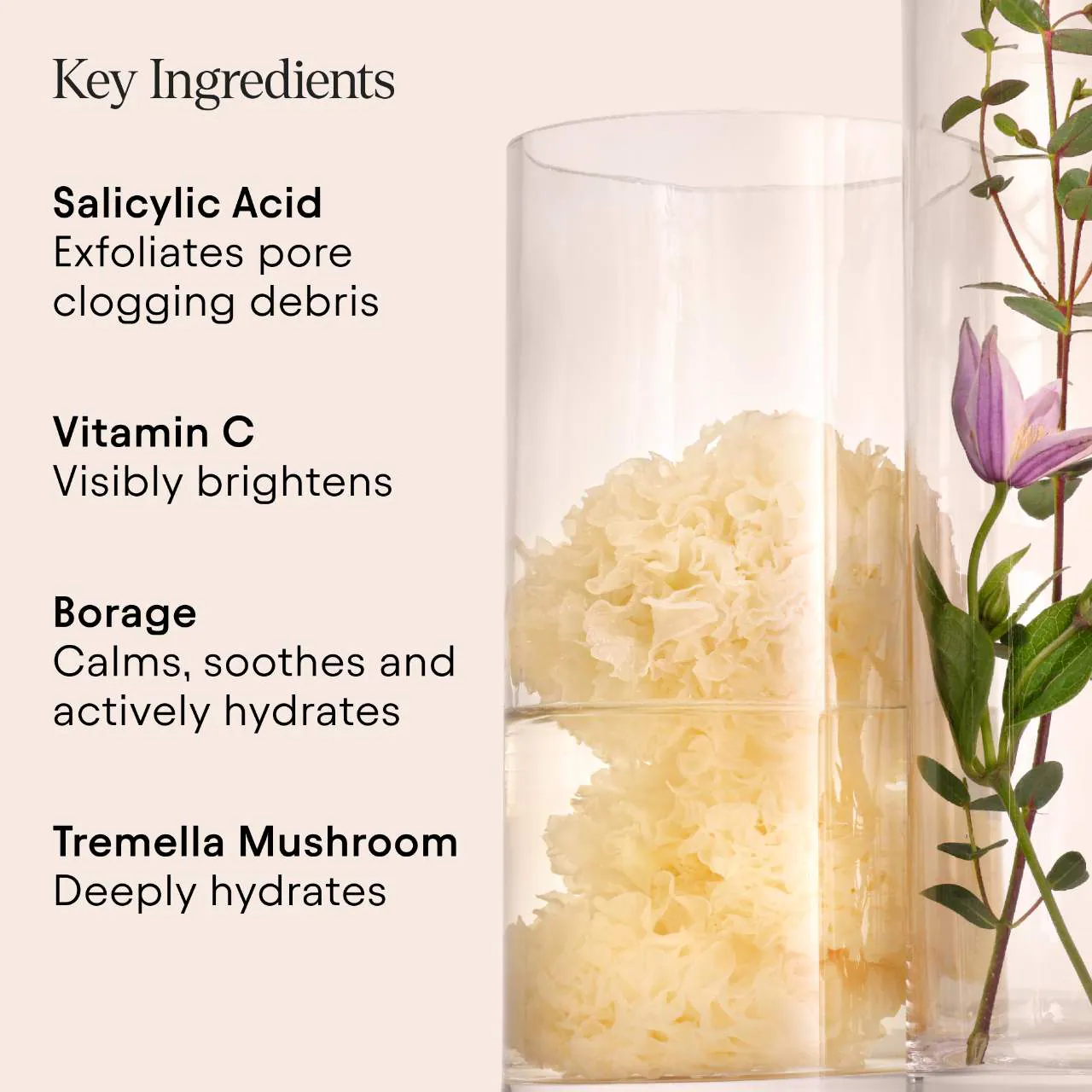 ALPYN 2% BHA Pore Perfecting Liquid Exfoliator for Brighter & Clearer Skin