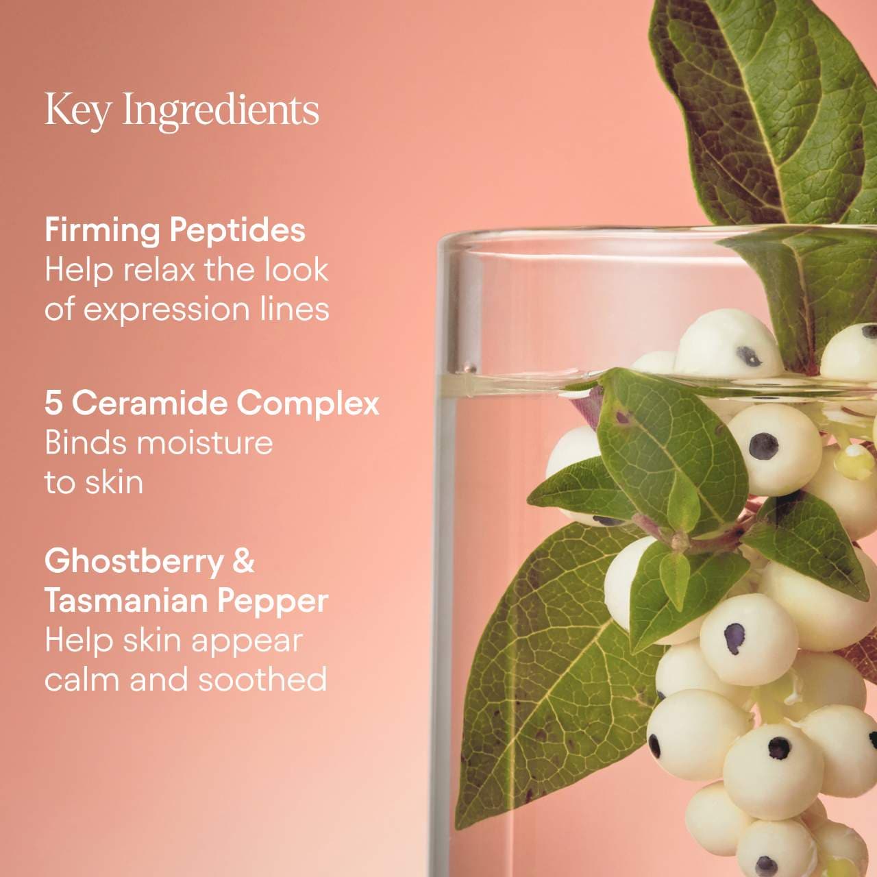 ALPYN Super Peptide & Ghostberry Moisturizer for Eczema, Barrier and Wrinkle Repair