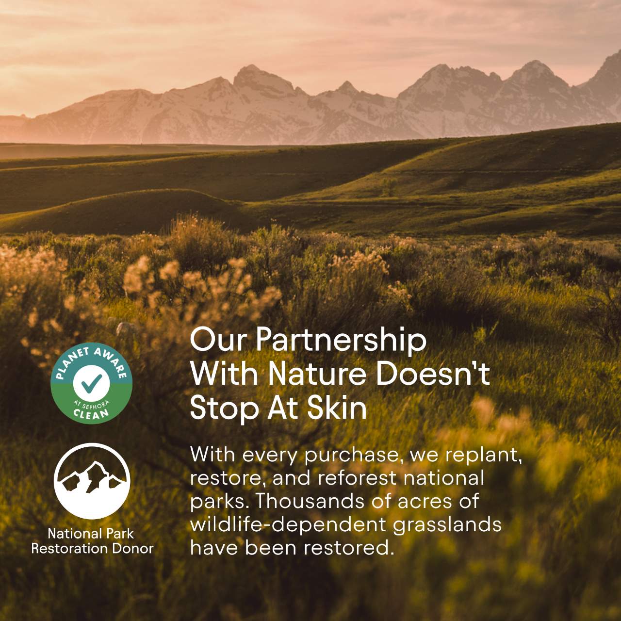 ALPYN Plumping & Softening Sweet Agave Lip Balm Treatment