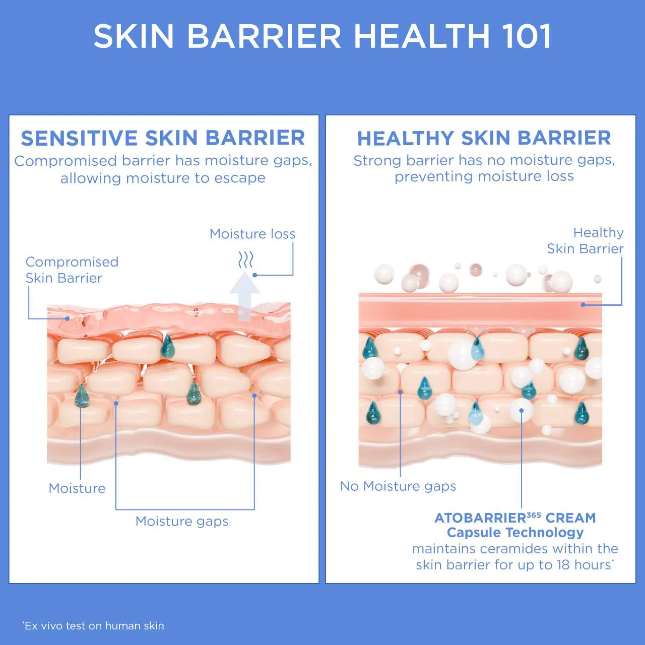AESTURA ATOBARRIER365 Cream Moisturizer with Ceramides & Niacinamide for Skin Moisture Barrier Repair